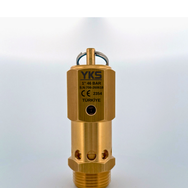 YKS Emniyet Ventili 1'' 46 YKS Emniyet Ventili